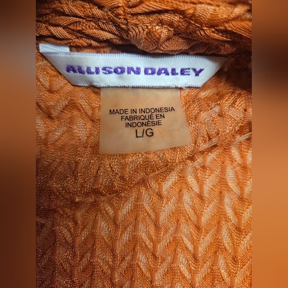 Allison Daley Womens Orange Textured Open Front Long Sleeve Cardigan Size Large - Picture 3 of 8